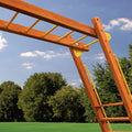 Premier Monkey Bars